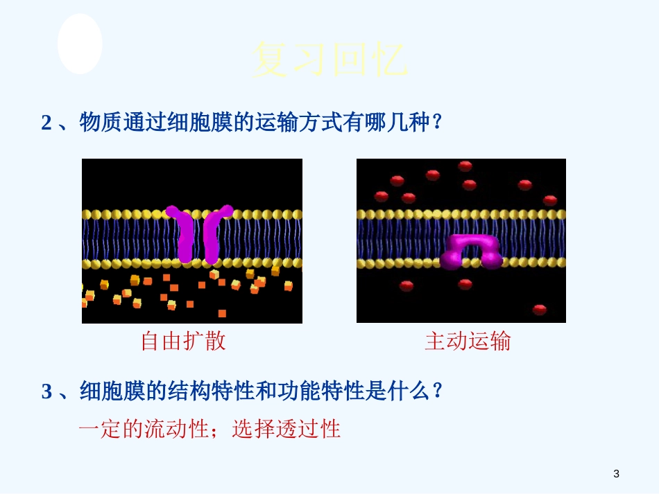 高二生物 细胞的生物膜系统课件 人教版_第3页