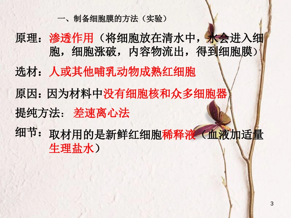 贵州省遵义市高一生物 细胞的基本结构课件_第3页