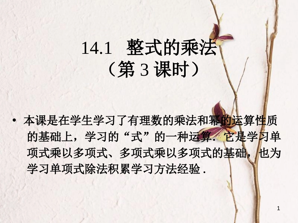 广东省中山市沙溪镇八年级数学上册 14.1 整式的乘法（第3课时）积的乘方教学课件 （新版）新人教版_第1页