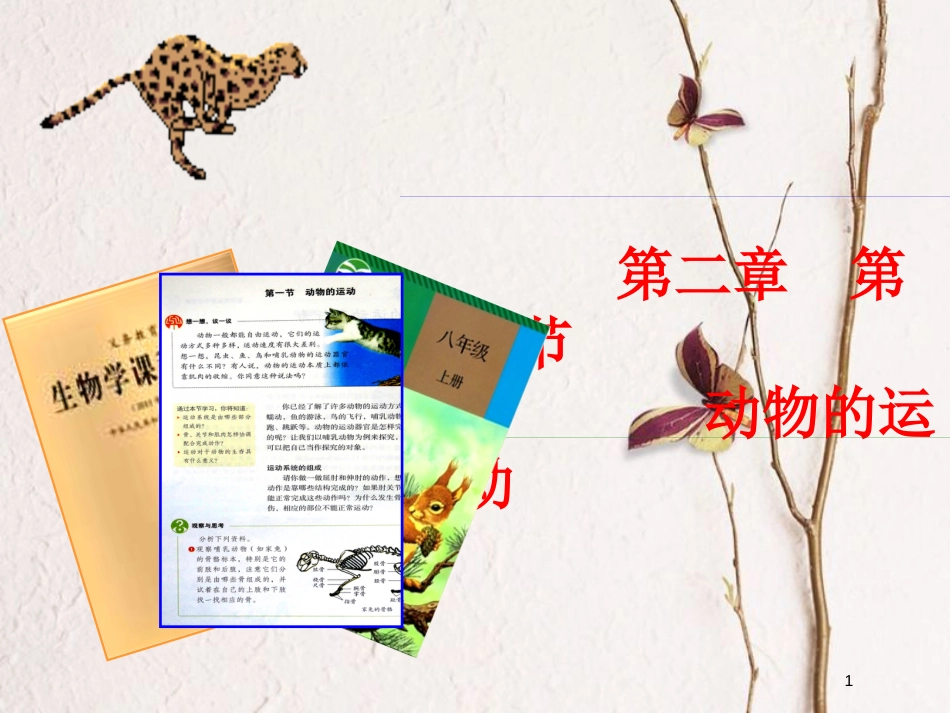 八年级生物上册 第五单元 第二章 动物的运动说课课件 （新版）新人教版_第1页