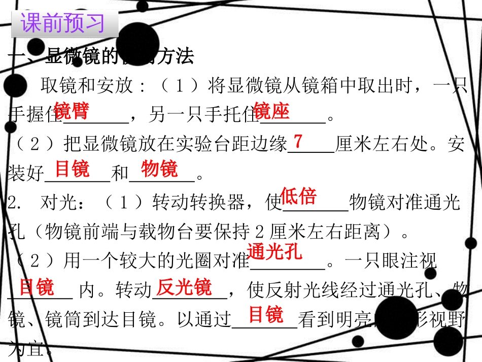 七年级生物上册 第二单元 第一章 第一节 练习使用显微镜课件 （新版）新人教版_第3页