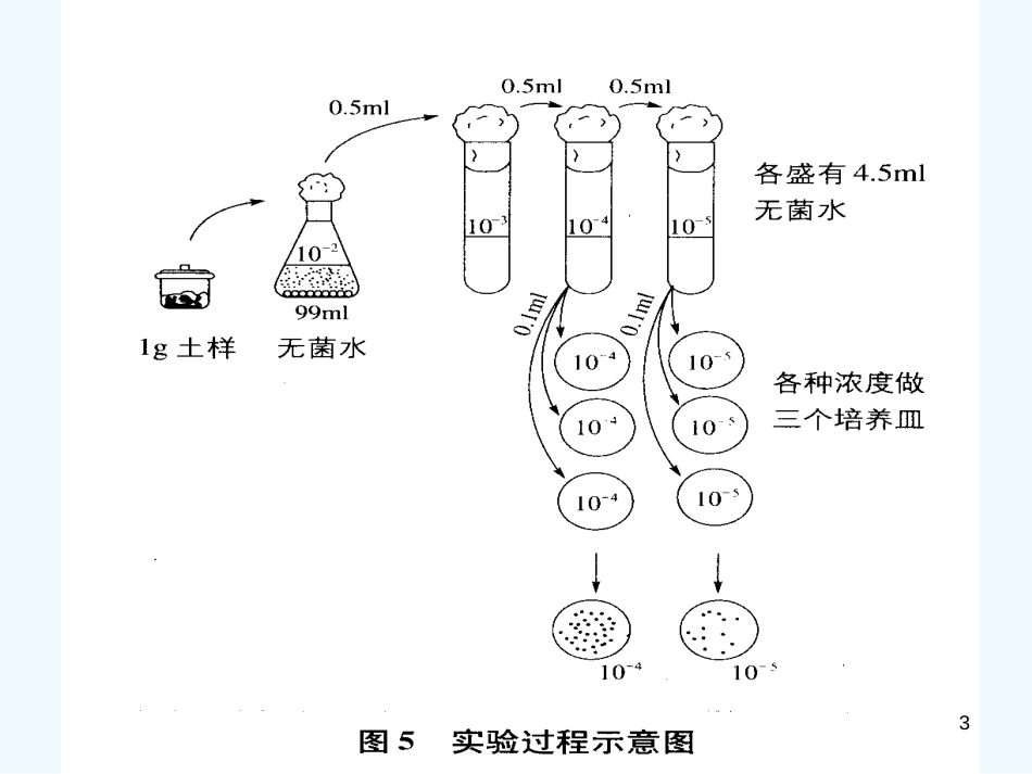 高中生物 第一部分《实验二 微生物的培养和利用》课件9 浙科版选修1_第3页