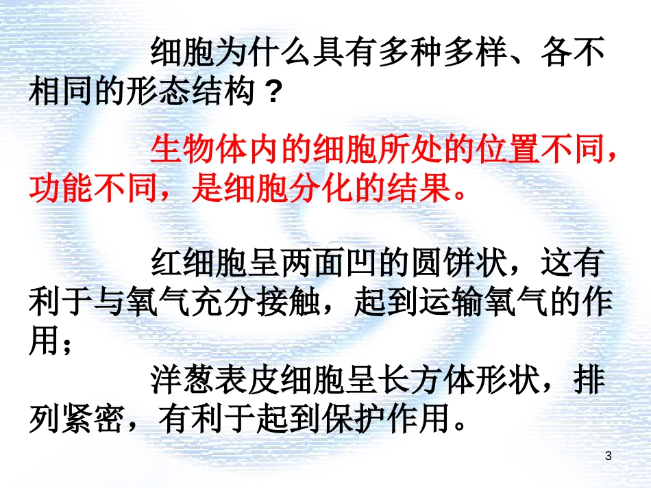 辽宁省庄河市高一生物 细胞的多样性和统一性课件_第3页