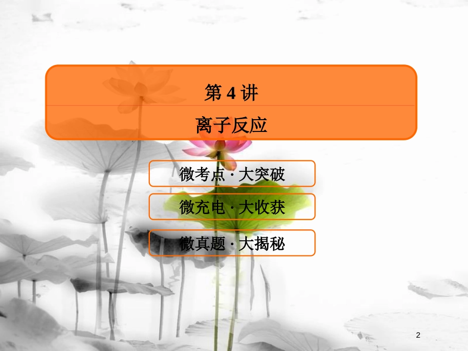 （新课标）高考化学大一轮复习 4离子反应课件 新人教版_第2页
