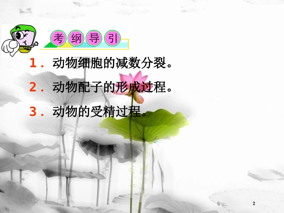 （山西专用）高三生物一轮复习 第13讲 减数分裂和受精作用课件 新人教版必修2_第2页