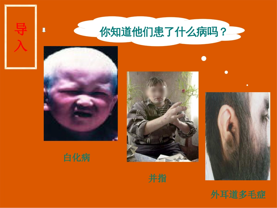 高中生物 2.3《伴性遗传》课件 新人教版必修2高二_第2页