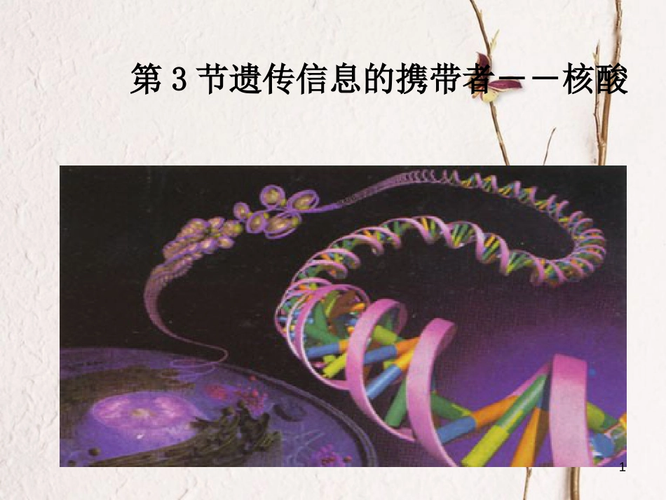 贵州省遵义市高一生物 遗传物质的携带者—核酸课件_第1页