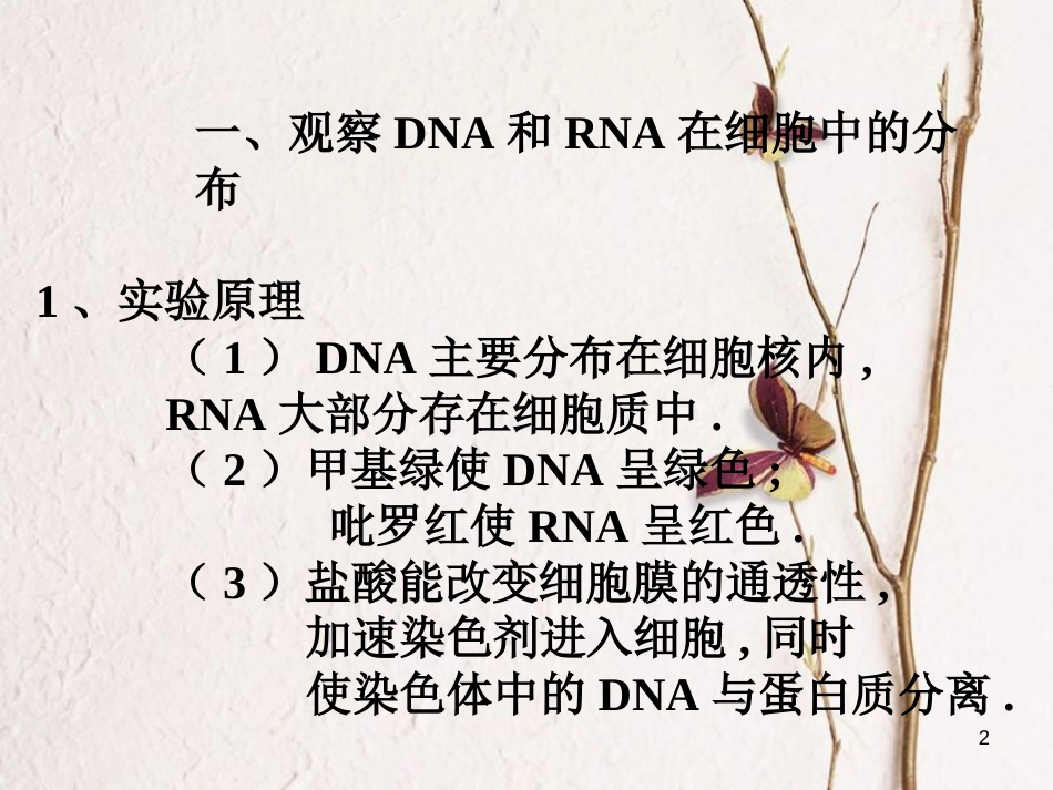 贵州省遵义市高一生物 遗传物质的携带者—核酸课件_第2页