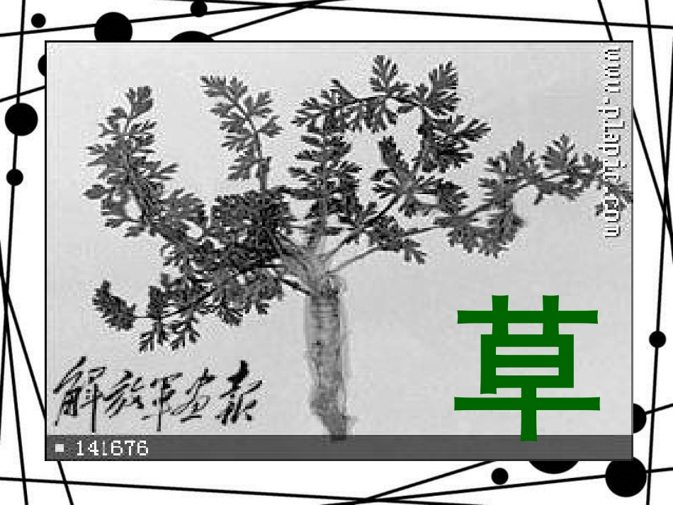 八年级语文上册 第一单元 第3课《草》课件 苏教版_第1页