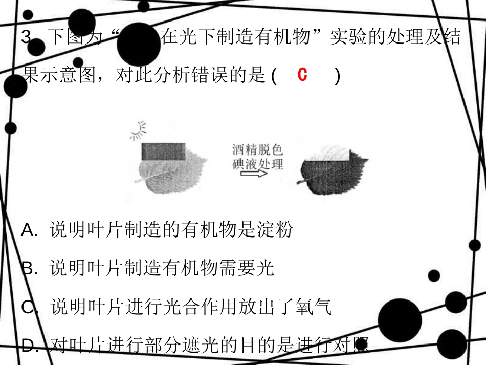 七年级生物上册 第三单元 第五章 第一节 光合作用吸收二氧化碳释放氧气课堂十分钟课件 （新版）新人教版_第3页