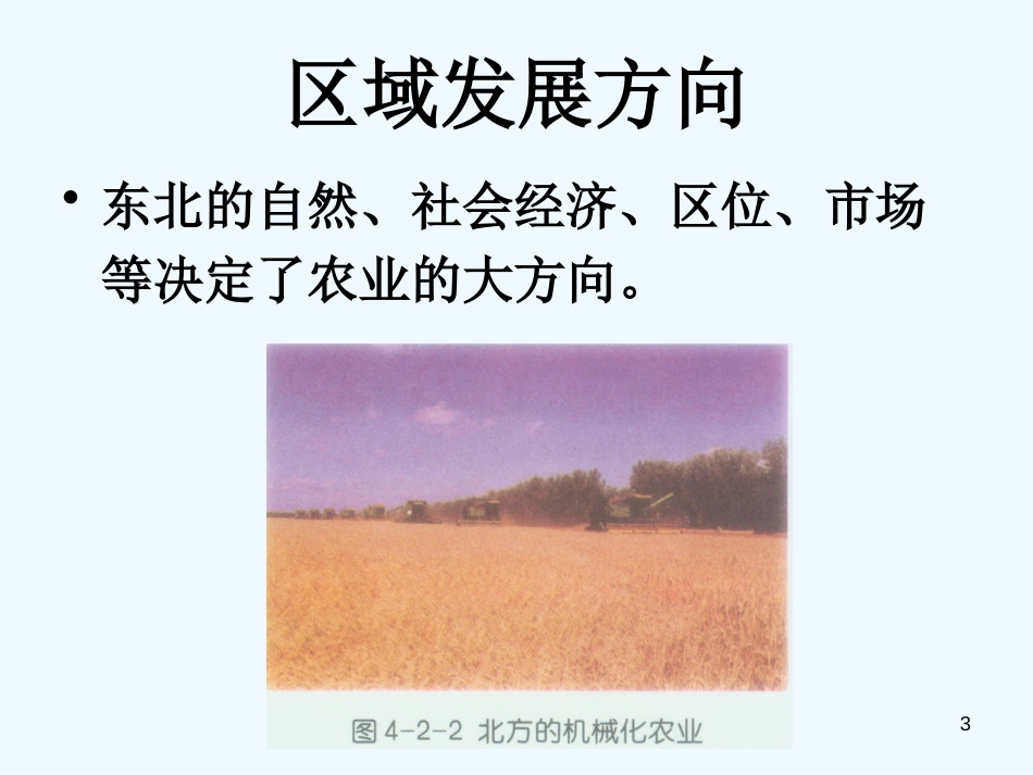 高中地理《区域农业发展》课件 新人教版必修3_第3页