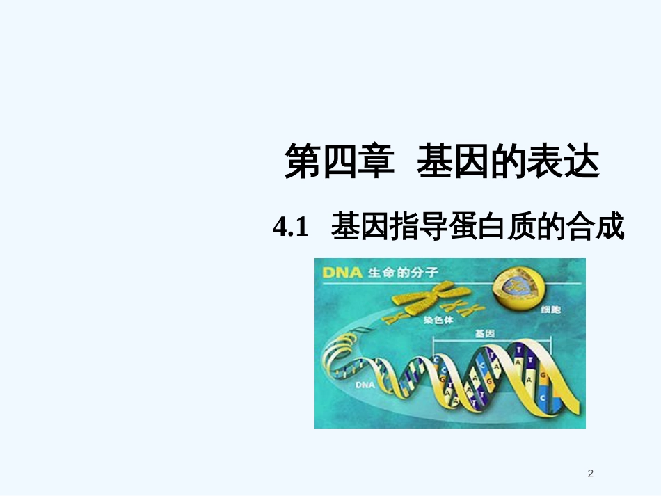 高中生物 4.1 基因指导蛋白质的合成课件 新人教版必修2_第2页