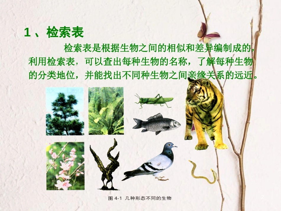七年级生物上册 第五章 第二节 练习对生物进行鉴别参考课件 （新版）冀教版_第2页