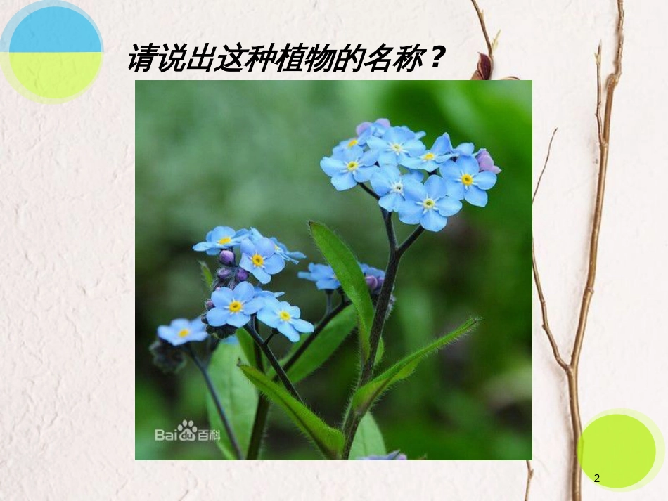 七年级生物上册 第五章 第二节 练习对生物进行鉴别课件 （新版）冀教版_第2页