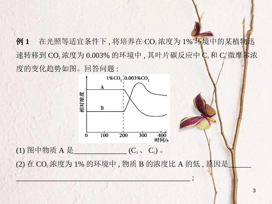 （B版，浙江选考专用）2019版高考生物总复习专题1光合作用课件_第3页