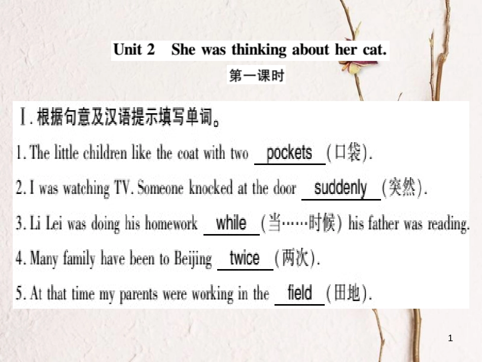 广西北部湾八年级英语上册 Module 7 A famous story Unit 2 She was thinking about her cat习题课件 （新版）外研版_第1页