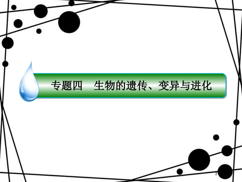 高三生物二轮复习 专题四 生物的遗传、变异与进化 1.4.3 生物的变异、育种与进化课件 新人教版_第2页