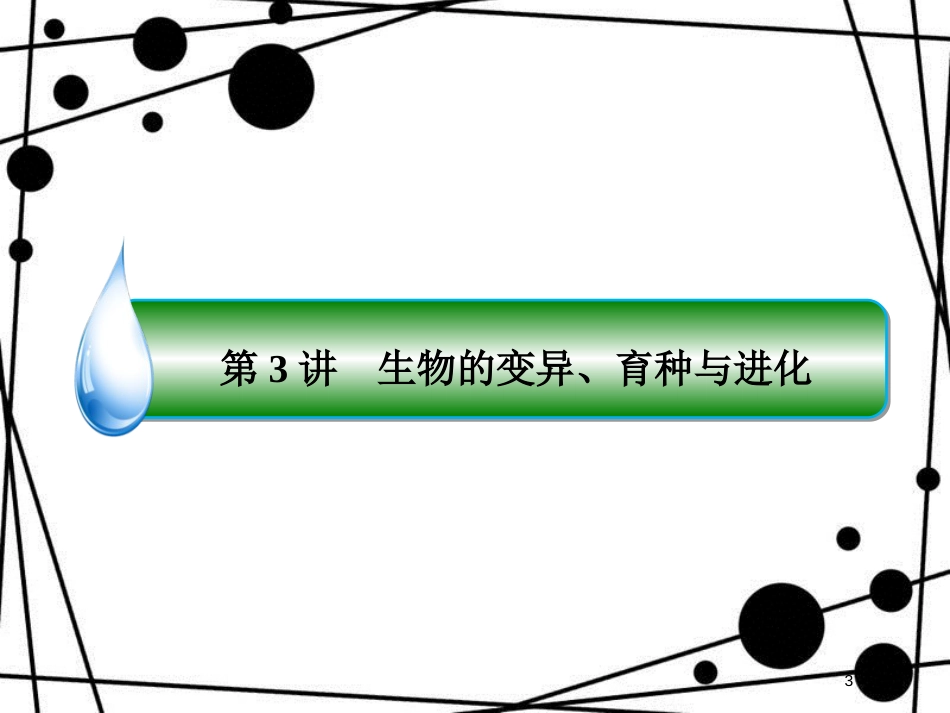 高三生物二轮复习 专题四 生物的遗传、变异与进化 1.4.3 生物的变异、育种与进化课件 新人教版_第3页