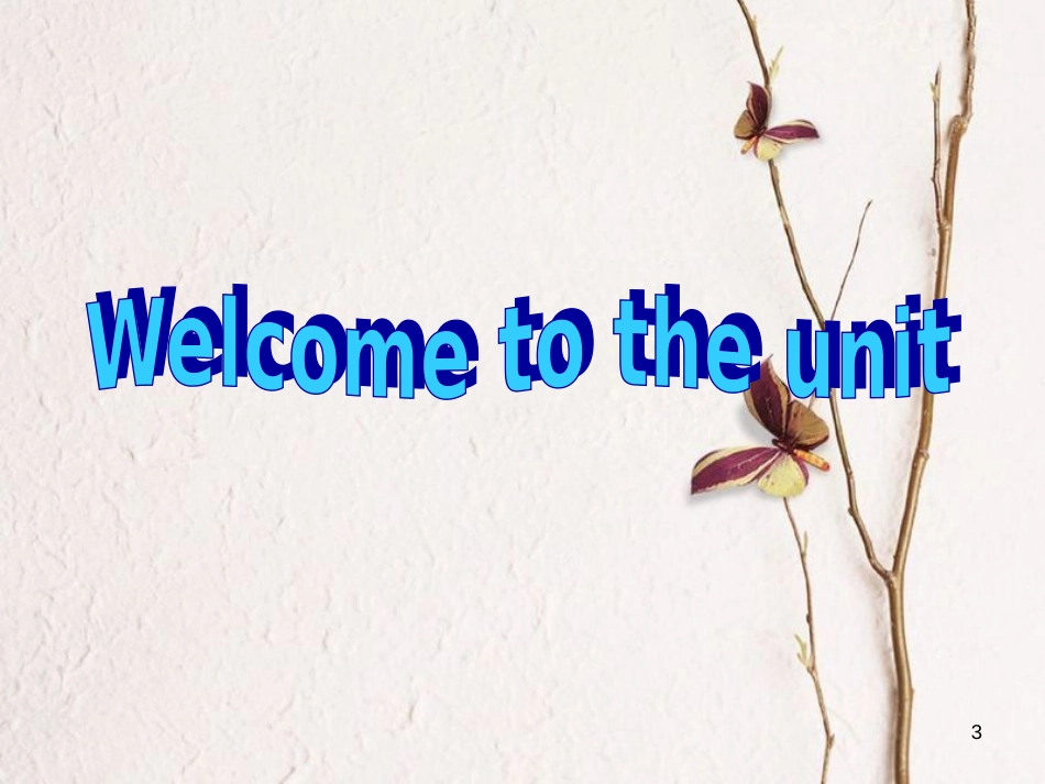 湖南省茶陵县高中英语 Unit 2 Language Welcome to the unit课件 牛津译林版必修3_第3页