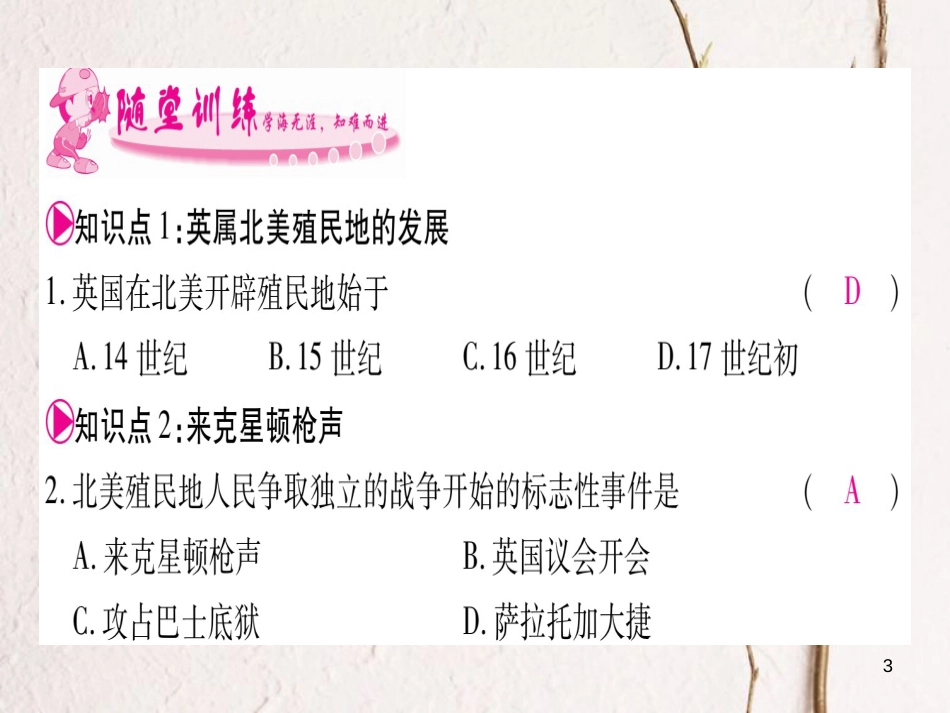 （广西专版）九年级历史上册第12课美国的诞生习题课件新人教版_第3页