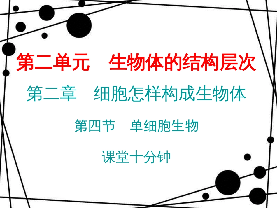 七年级生物上册 第二单元 第二章 第四节 单细胞生物课堂十分钟课件 （新版）新人教版_第1页