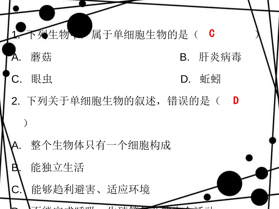 七年级生物上册 第二单元 第二章 第四节 单细胞生物课堂十分钟课件 （新版）新人教版_第2页