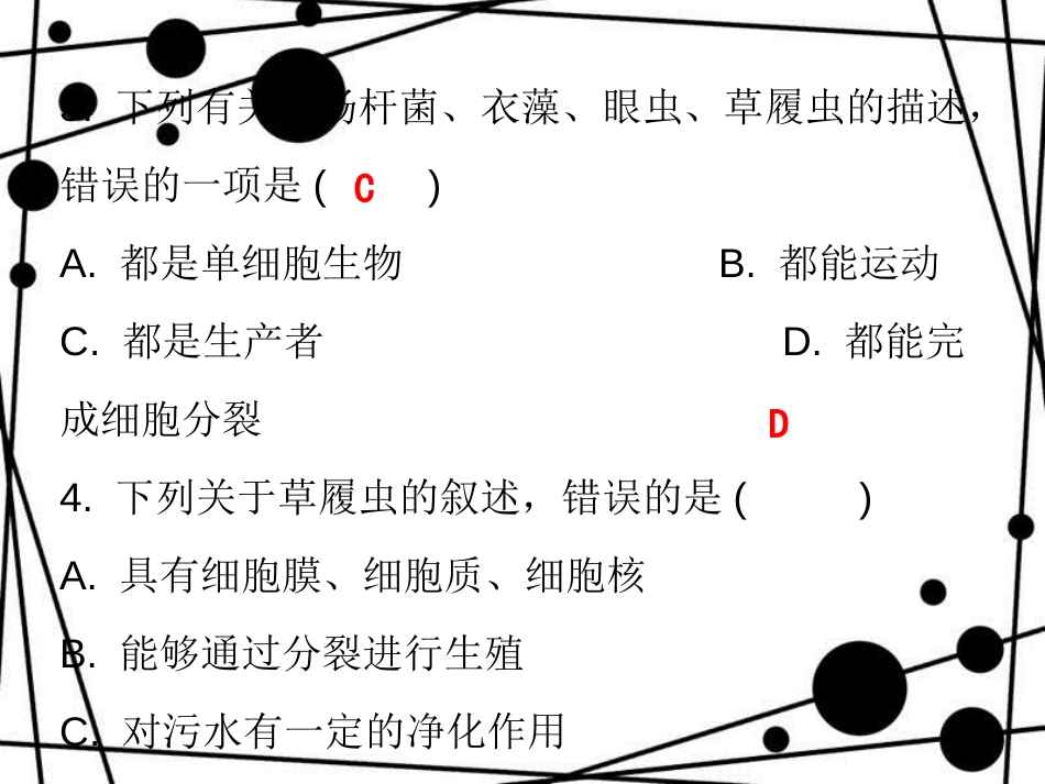 七年级生物上册 第二单元 第二章 第四节 单细胞生物课堂十分钟课件 （新版）新人教版_第3页