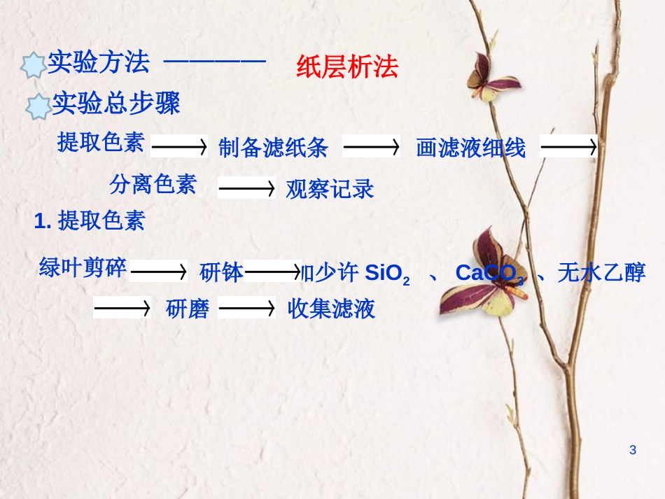 辽宁省北票市高中生物 第五章 细胞的能量供应和利用 5.4 能量之源---光与光合作用1+捕获光能的色素和结构课件 新人教版必修1_第3页