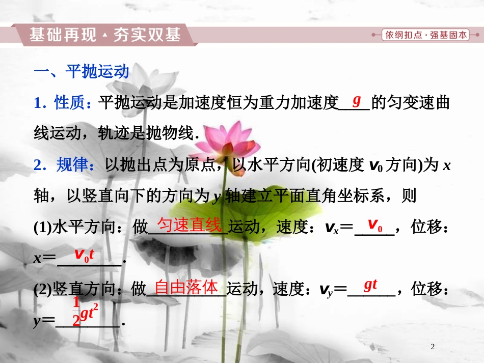 （新课标）高考物理一轮复习 第四章 曲线运动万有引力与航天 第二节 抛体运动课件_第2页
