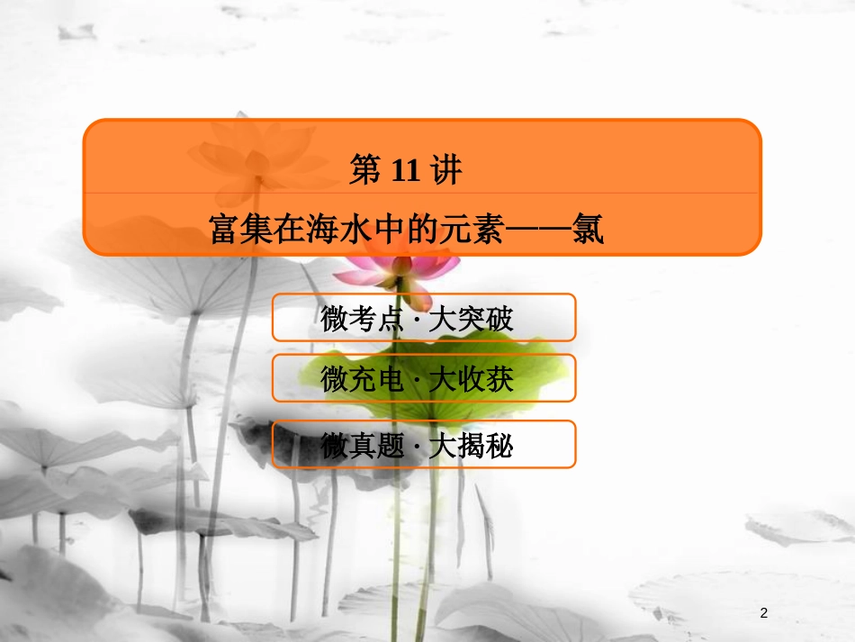 （新课标）高考化学大一轮复习11富集在海水中的元素——氯课件新人教版_第2页
