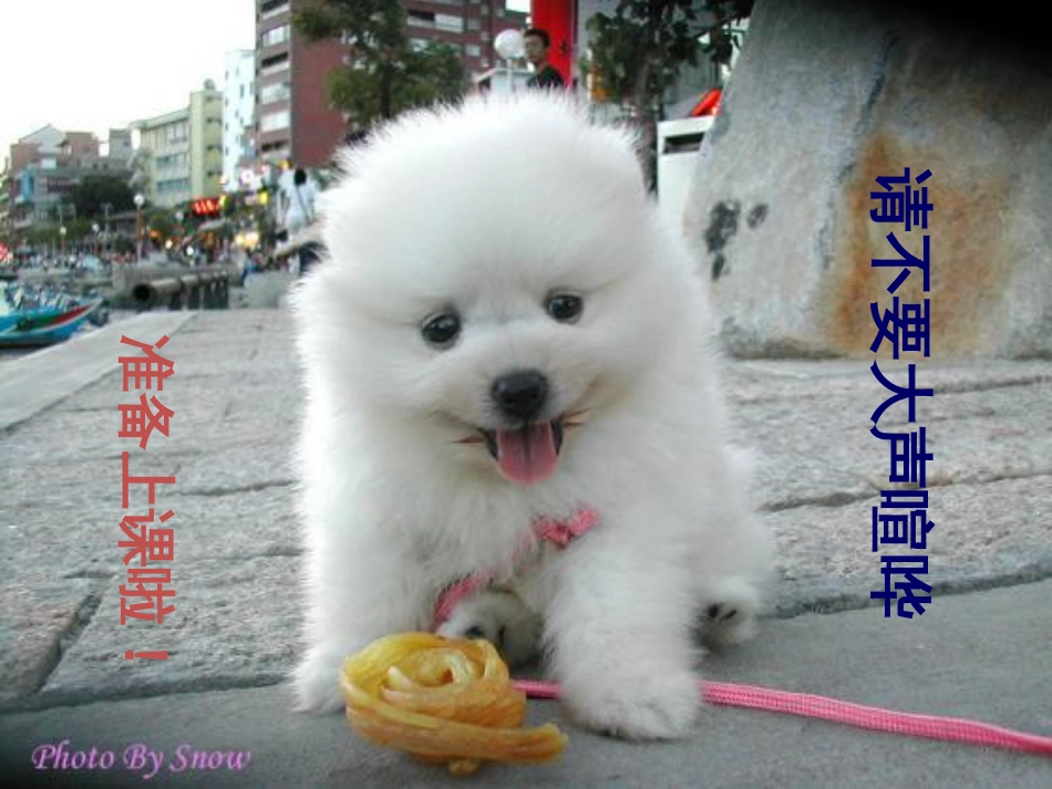 高中语文《雷雨》优质课课件 语文版必修4_第2页