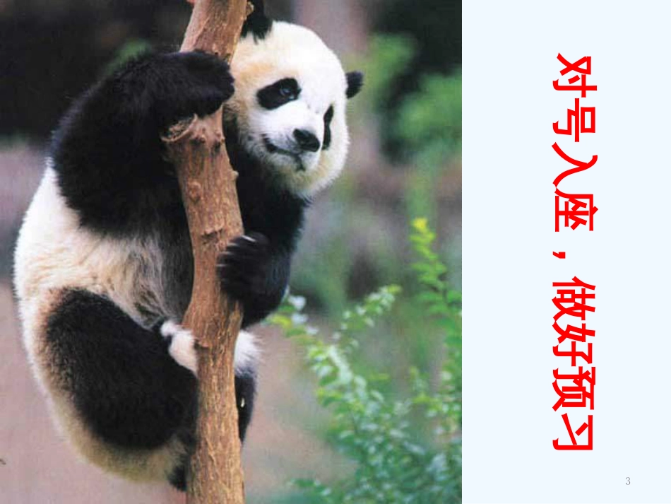 高中语文《雷雨》优质课课件 语文版必修4_第3页