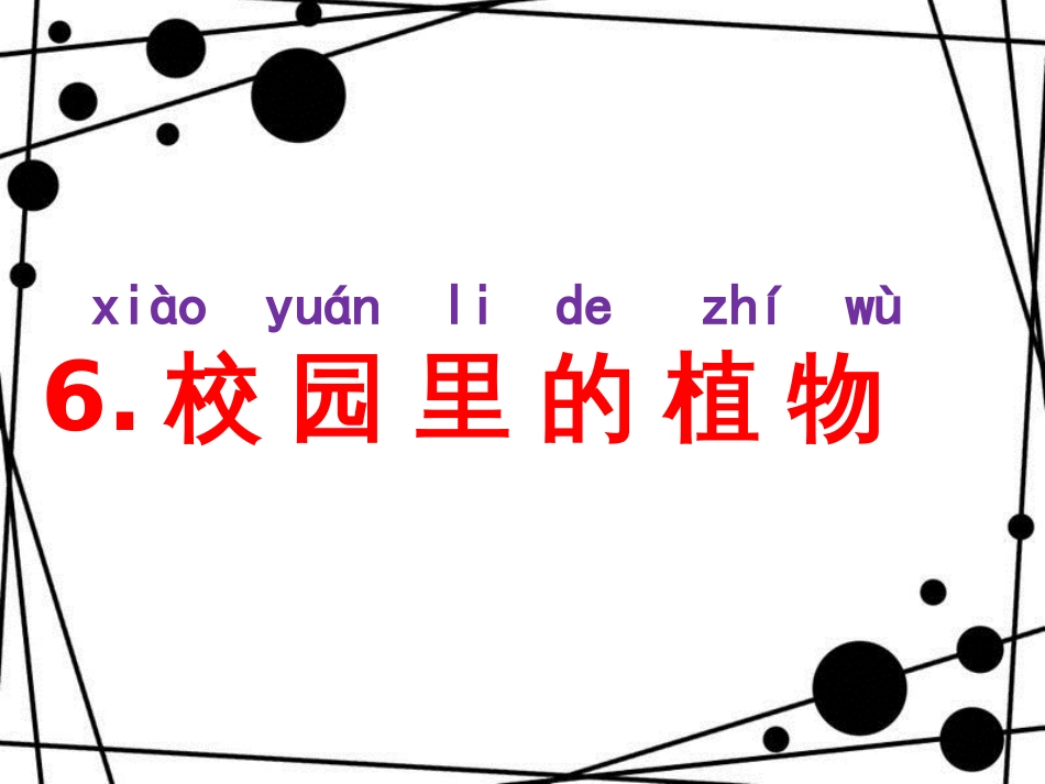 一年级科学上册 1.6 校园里的植物课件1 教科版_第2页