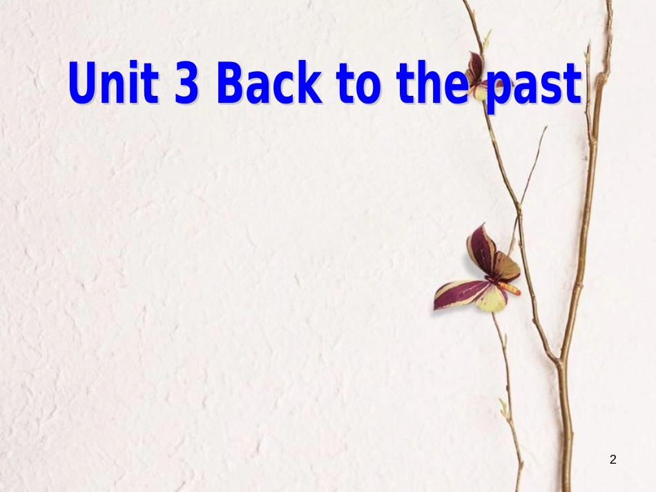 湖南省茶陵县高中英语 Unit 3 Back to the past Grammar and usage课件 牛津译林版必修3_第2页