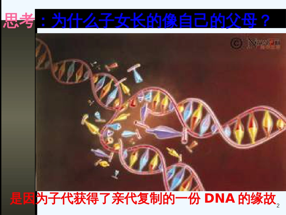 高中生物 基因对性状的控制课件2 人教版必修2_第2页