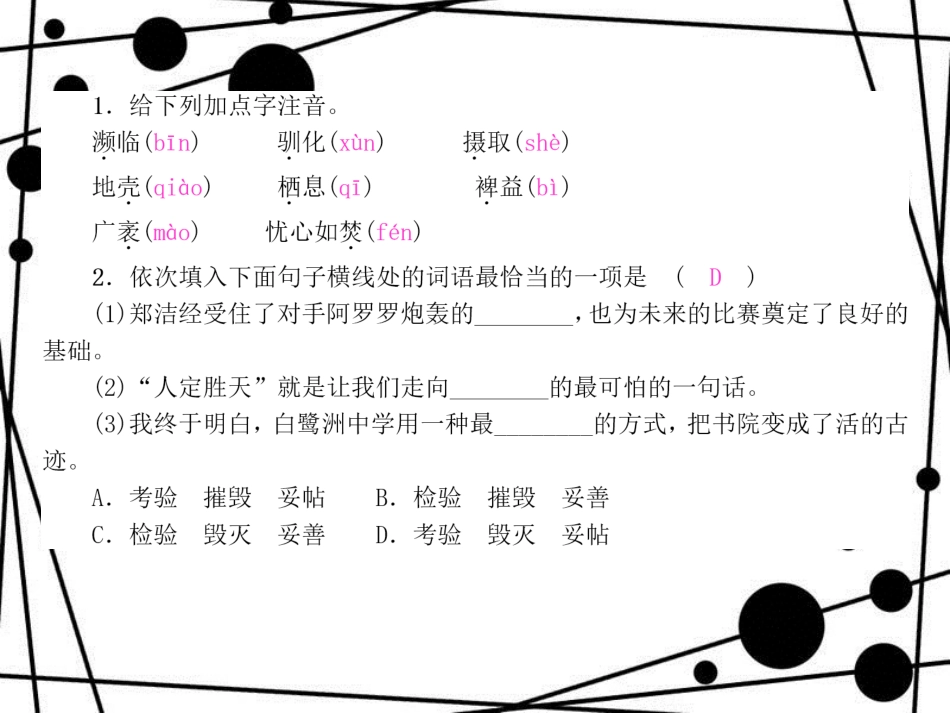八年级语文上册 第四单元 15 雨林的毁灭 世界性灾难习题课件 语文版_第2页