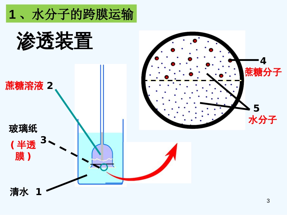 高中生物 物质跨膜运输课件1 新人教版必修1_第3页