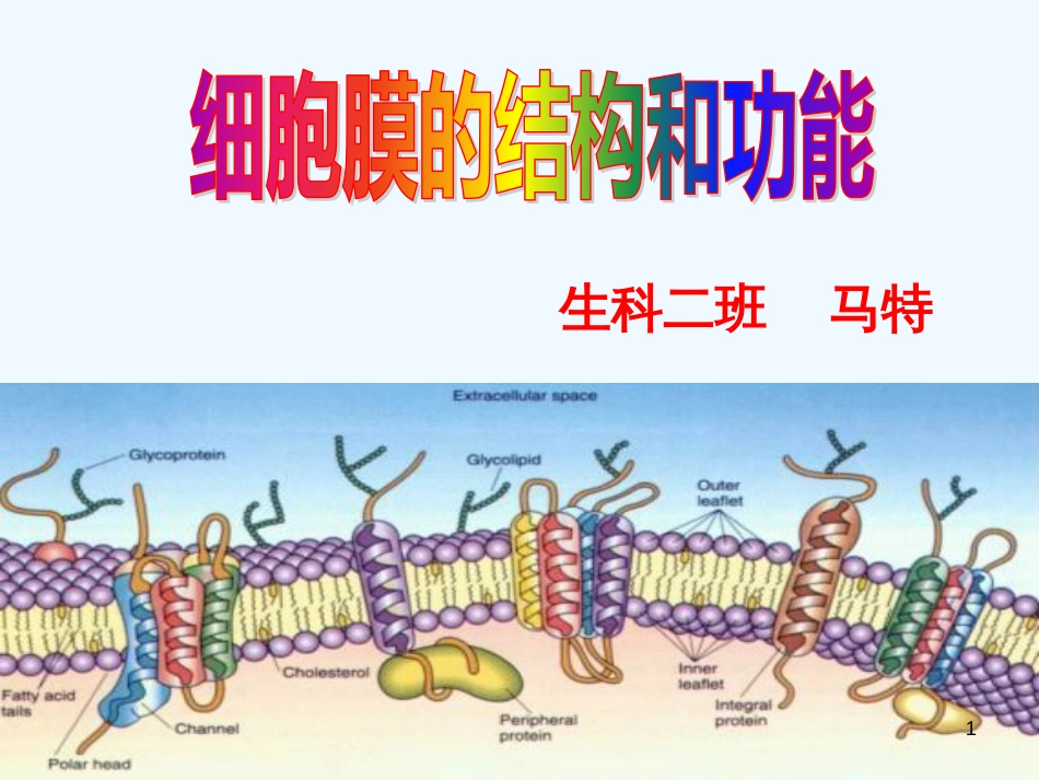 高中生物：细胞膜的结构和功能课件苏教版必修1_第1页