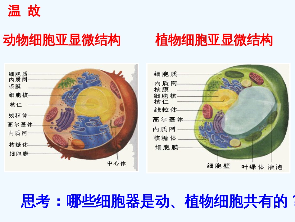 高中生物：细胞膜的结构和功能课件苏教版必修1_第2页