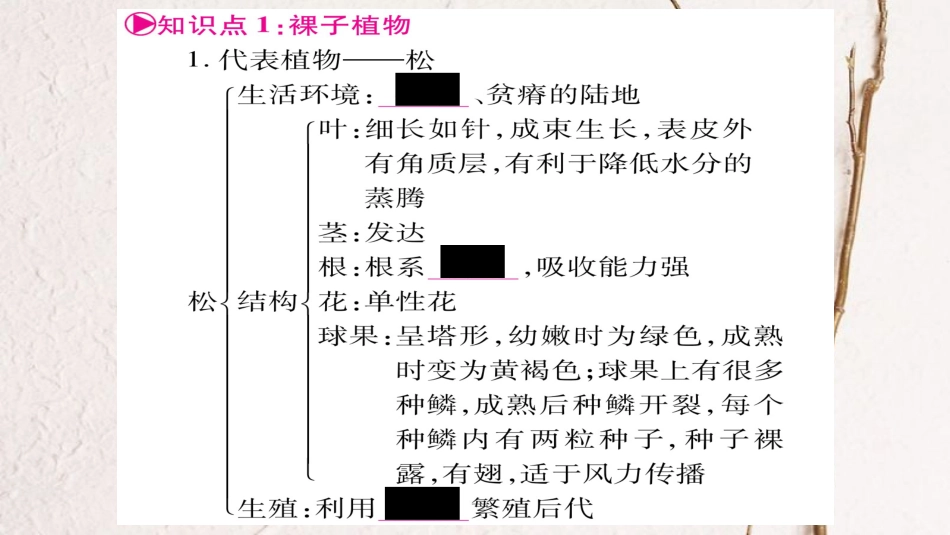 中考生物总复习 七上 第1单元 第3章 第5-7节 裸子植物和被子植物 我国的珍惜植物教材考点梳理课件 冀教版_第2页