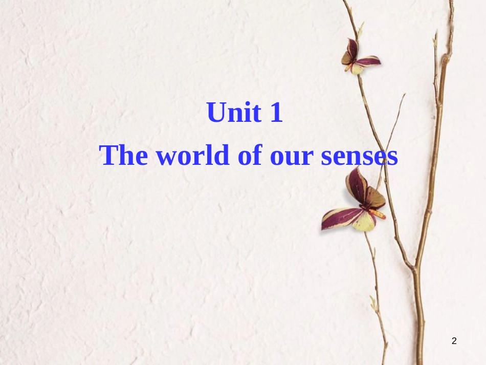 湖南省茶陵县高中英语 Unit 1 The world of our senses Word power课件 牛津译林版必修3_第2页