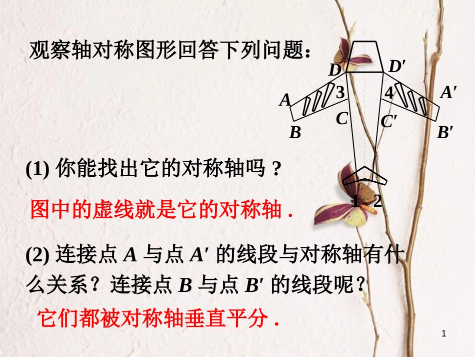 七年级数学下册 5.2 探索轴对称的性质 飞机的轴对称性做一做素材 （新版）北师大版_第1页