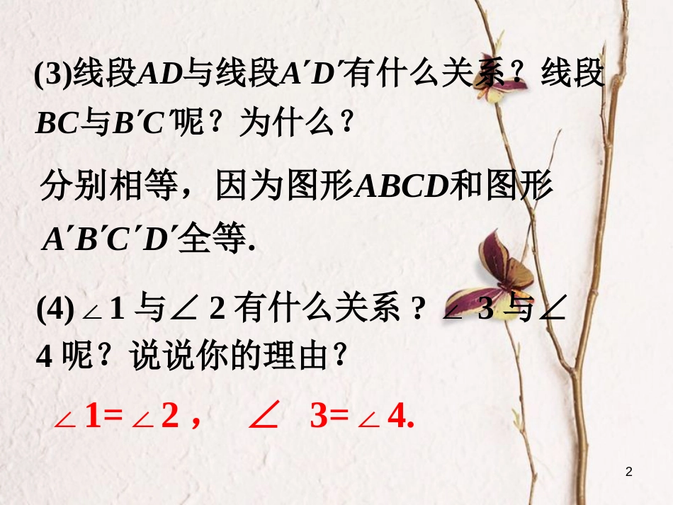 七年级数学下册 5.2 探索轴对称的性质 飞机的轴对称性做一做素材 （新版）北师大版_第2页