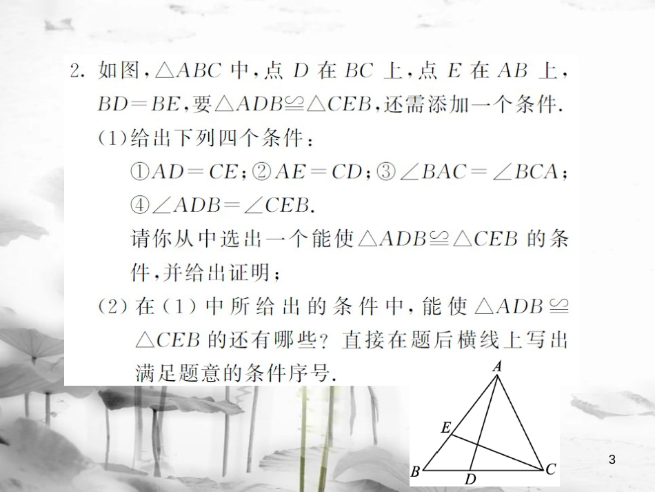 八年级数学上册 滚动小专题（四）全等三角形中的开放研究型问题习题课件 （新版）湘教版_第3页