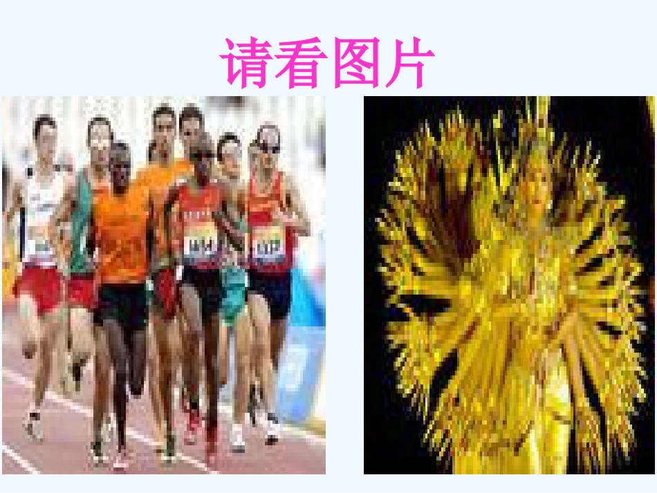 高中语文《我与地坛（节选）》课件 粤教版必修1_第2页