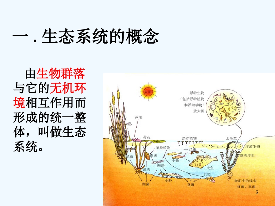 高中生物生态系统的结构（课件）浙教版必修3_第3页