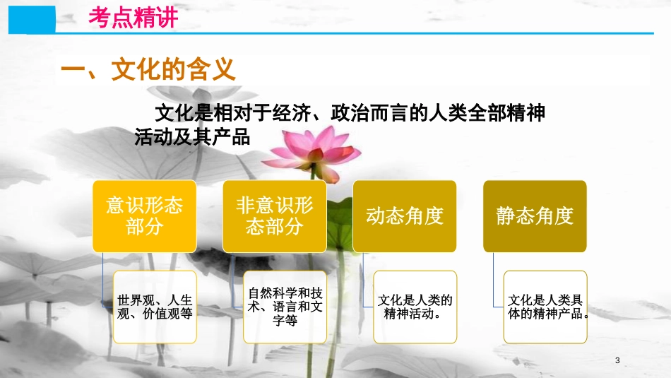 高考政治第九单元文化与生活课时1文化与社会考点一文化的内涵、特点课件新人教版必修3_第3页