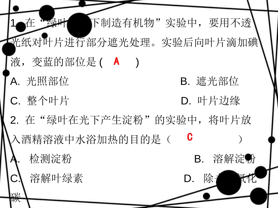 七年级生物上册 第三单元 第四章 绿色植物是生物圈中有机物的制造者课堂十分钟课件 （新版）新人教版_第2页