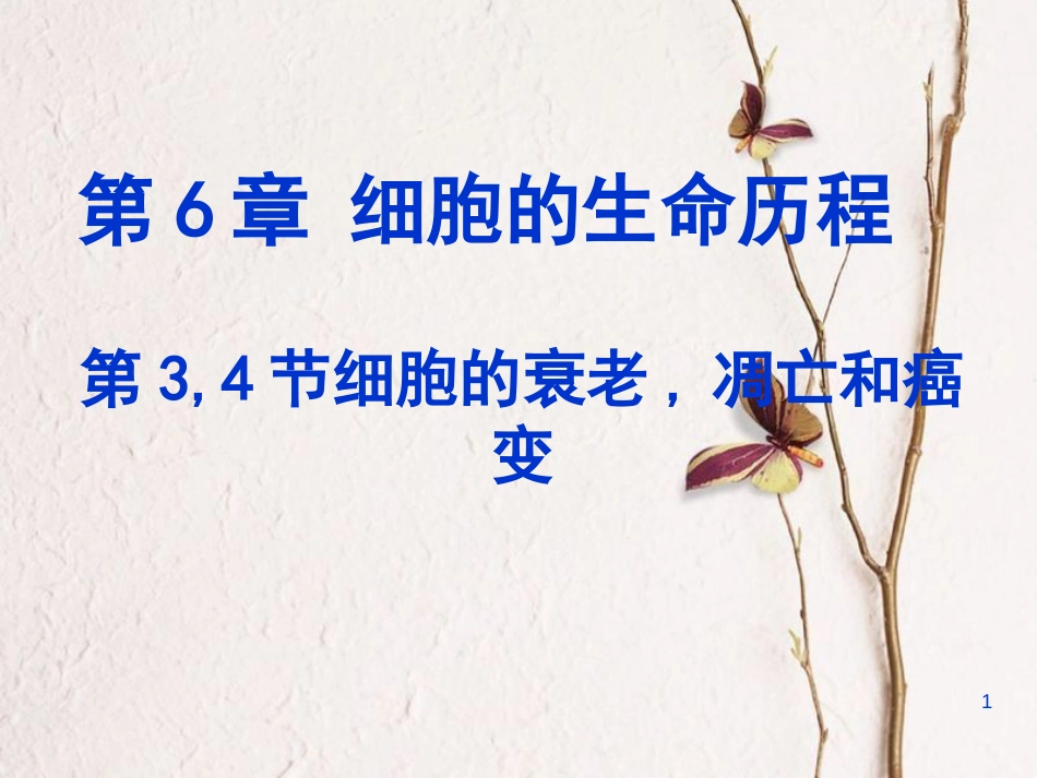 辽宁省北票市高中生物 第六章 细胞的生命历程 6.3 细胞衰老、凋亡 6.4 癌变课件 新人教版必修1_第1页