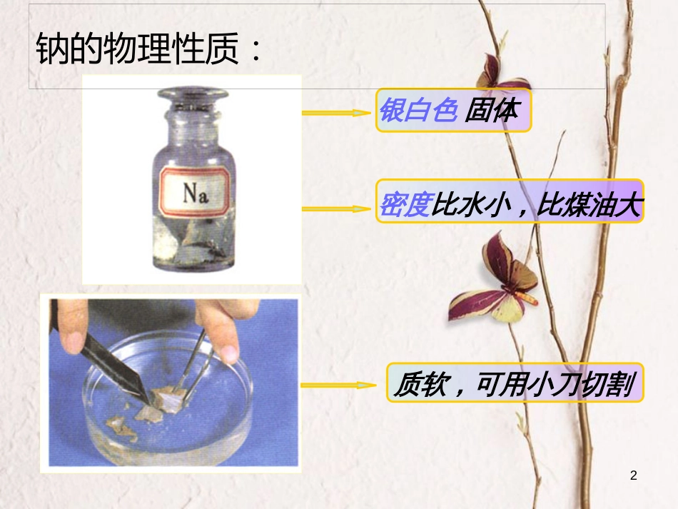 河北省南宫市高三化学二轮复习 钠及其与水的反应课件 新人教版_第2页